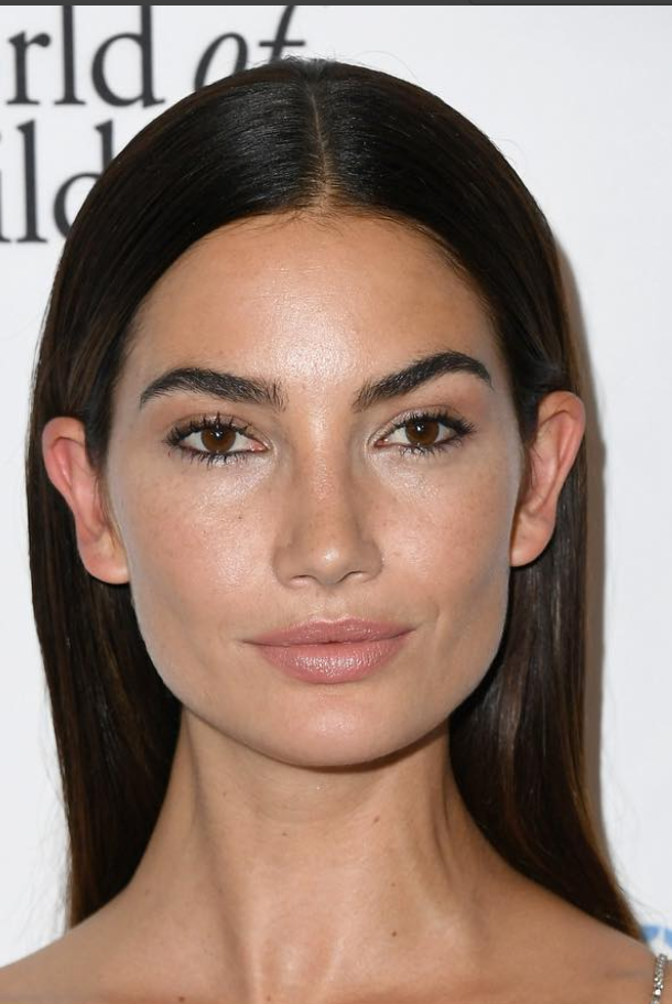 Who made Lily Aldridge's makeup, including foundation, lip balm, beauty ...